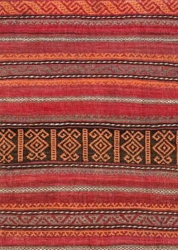 Red and Orange Persian Kilim Shahsavan Pattern 3 x 7 - Image 2