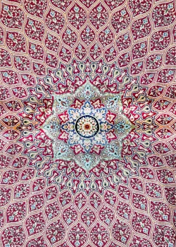 Red and Blue Persian Rug Vanda Pattern 5 x 8 - Image 2