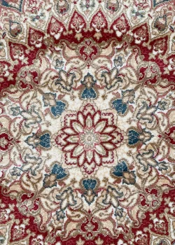Beige and Red Persian Rug Vanda Pattern 5 x 5 - Image 3
