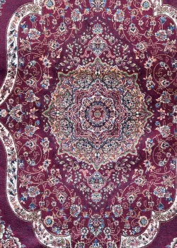Red Persian Rug Flame Pattern 4 x 6 - Image 3