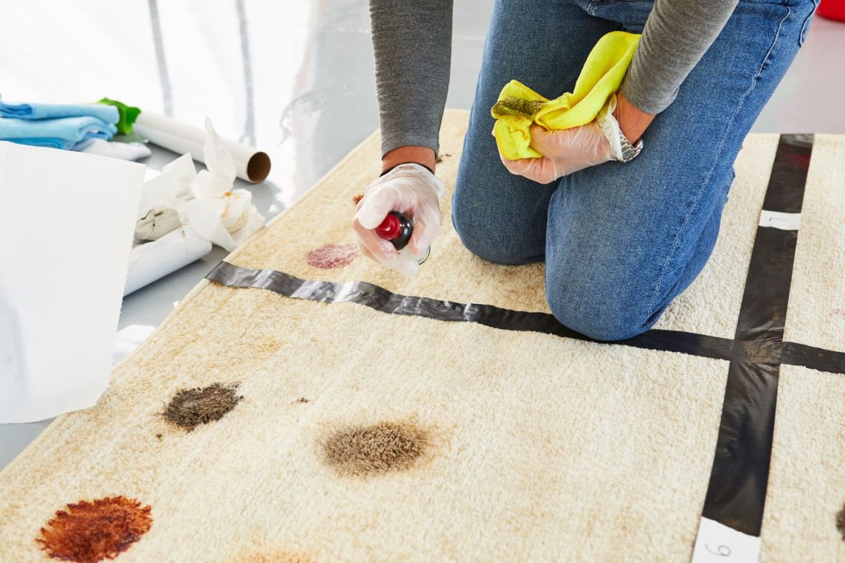Rug Stain Rescue: How to Remove Any Stain with Ease
